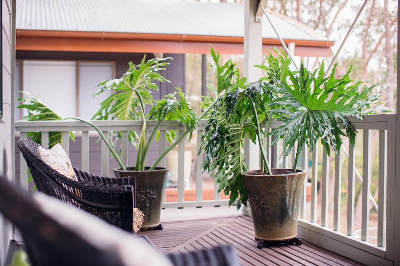 Snooty Fox Bed &breakfast Hazelbrook